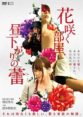 荒原信使 电影海报
